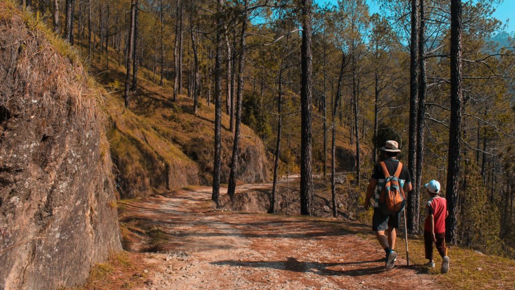 A man and kid hike and check out the fall foliage.